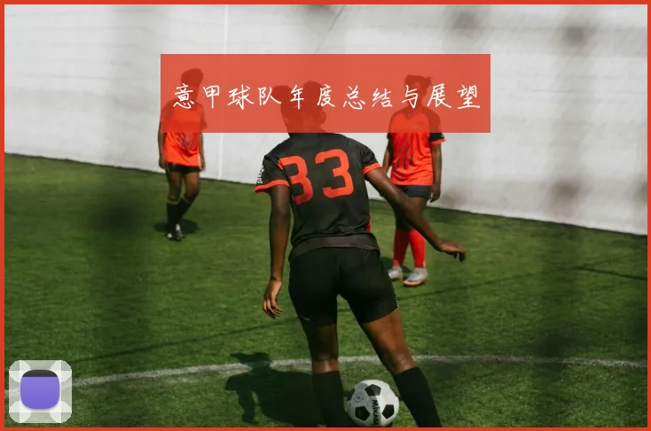意甲球队年度总结与展望