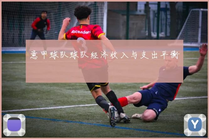 意甲球队球队经济收入与支出平衡